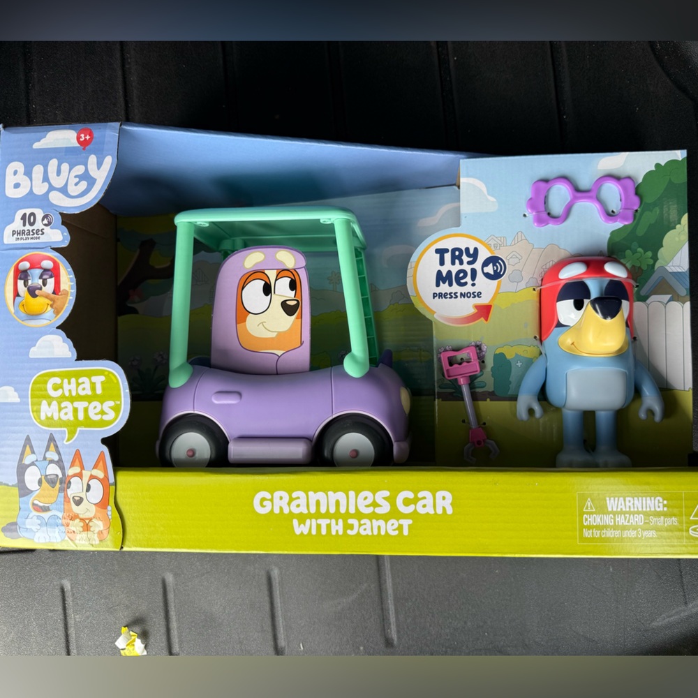 Bluey Grannies Car with Janet chat mates